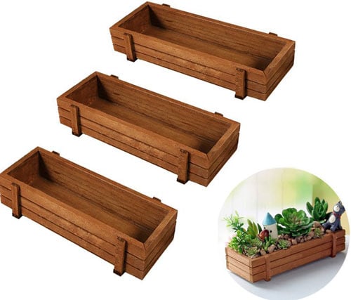 Wooden Plant Seeds Box