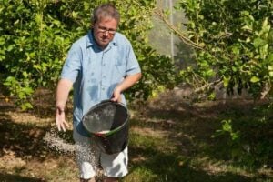 10 Best Citrus Tree Fertilizers How When To Use Them
