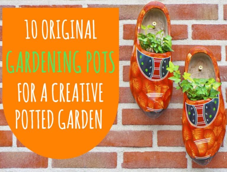 10 Original Gardening Pots For A Creative Potted Garden