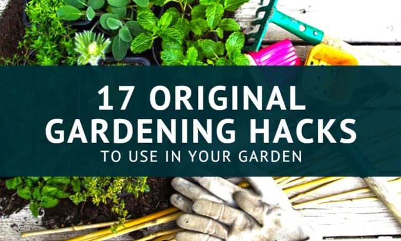 17 original gardening hacks to use in your garden