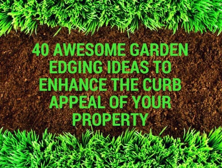 40 Awesome Garden Edging Ideas To Enhance The Curb Appeal Of Your Property