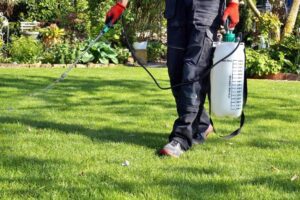 8 Super Strong Effective DIY Homemade Weed Killers2