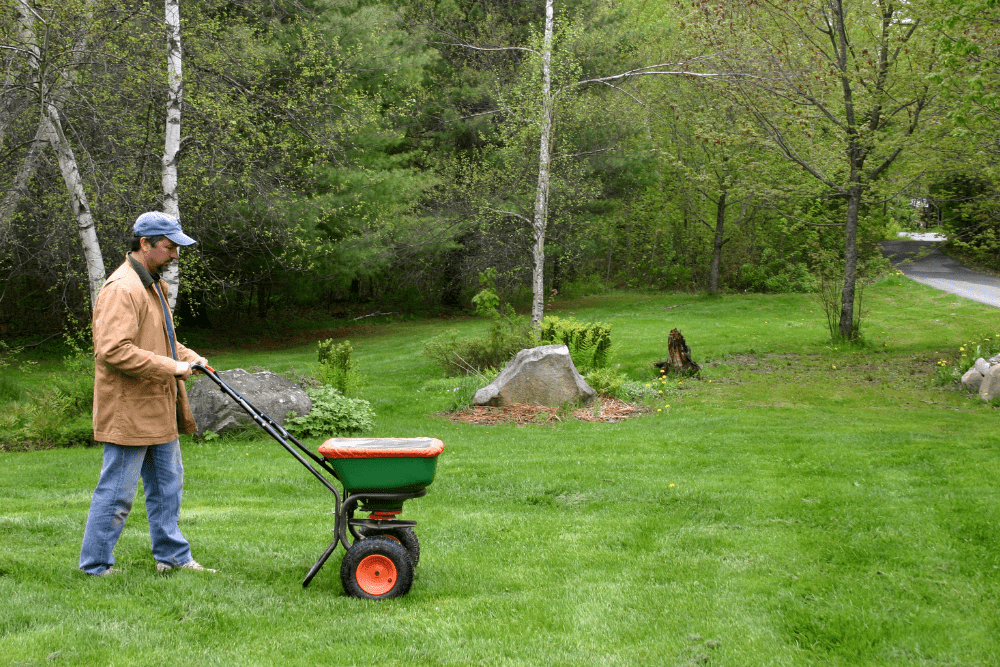 Applying Ironite for lawn