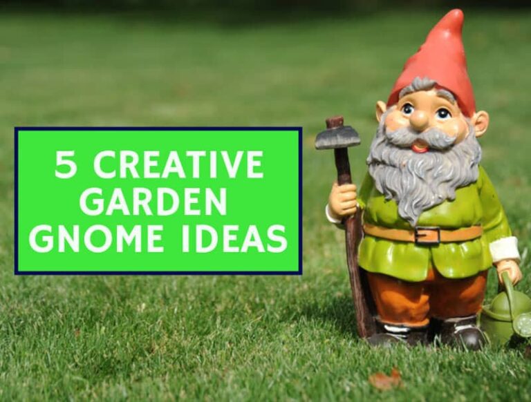 5 Creative Garden Gnome Ideas