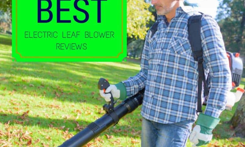 Best Electric Leaf Blower Reviews