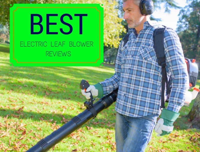 Best Electric Leaf Blower Reviews Properly Rooted