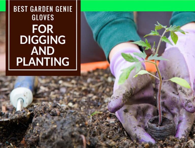 Best Garden Genie Gloves For Digging And Planting