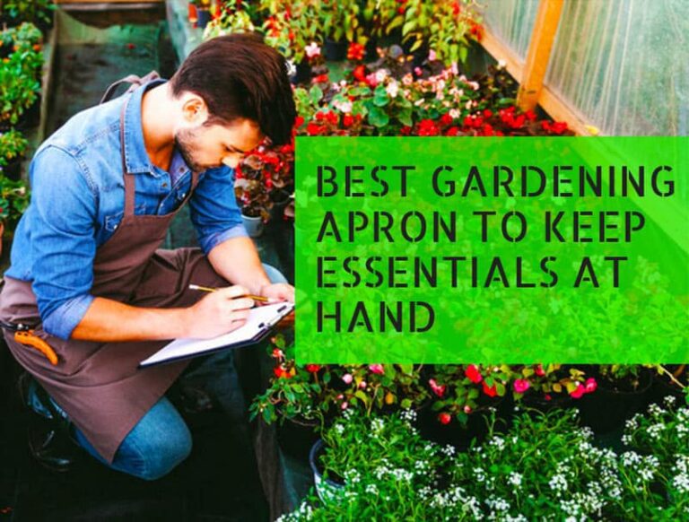 Best Gardening Apron To Keep Essentials At Hand