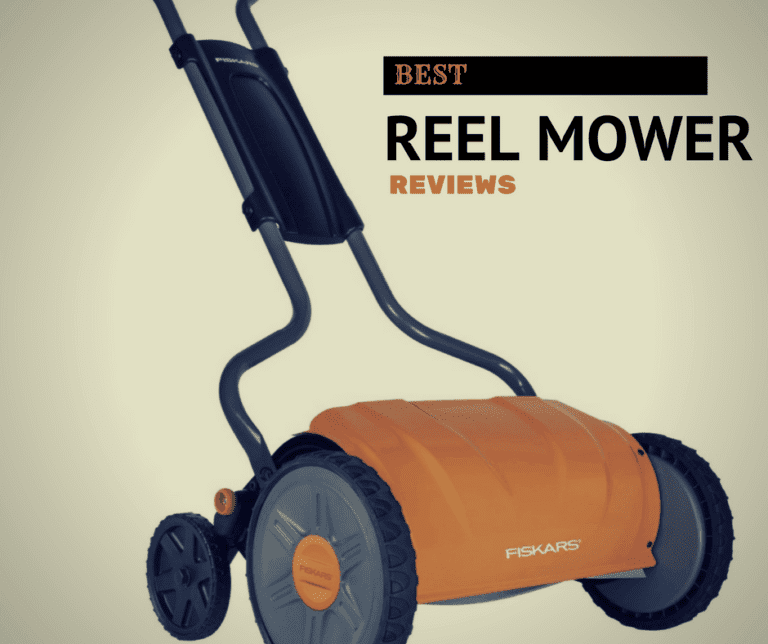 Best Reel Mower Reviews: A Buyer’s Guide