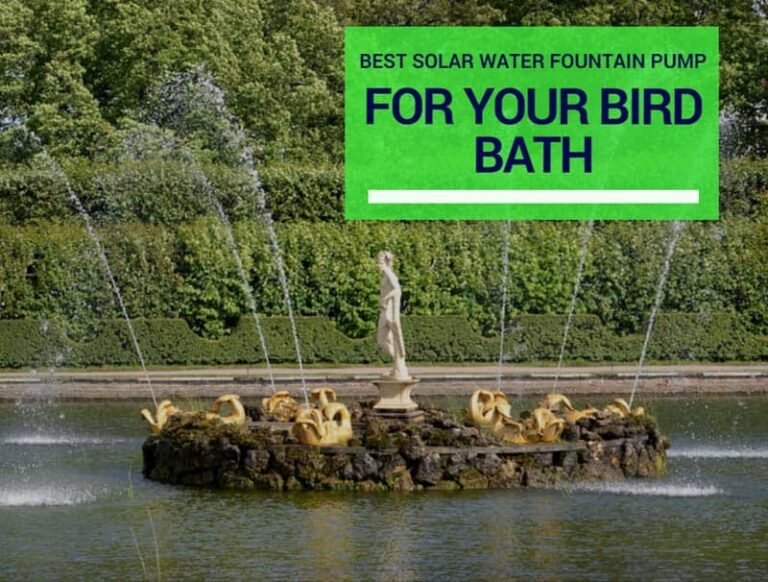 Best Solar Water Fountain Pump For Your Bird Bath