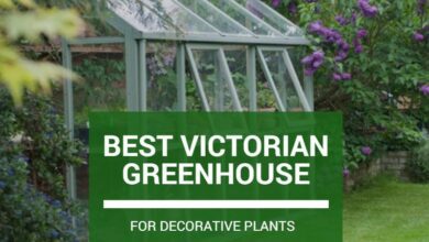 Best Victorian Greenhouse F