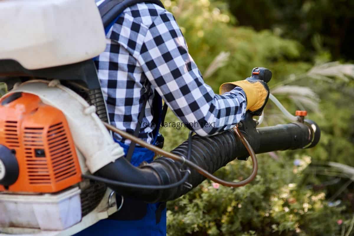 The Best Backpack Leaf Blowers in 2022. Reviews & Buyer’s Guide