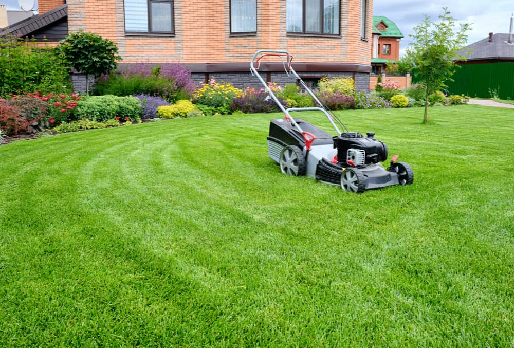 Can You Repeat The Same Pattern When Lawn Striping_