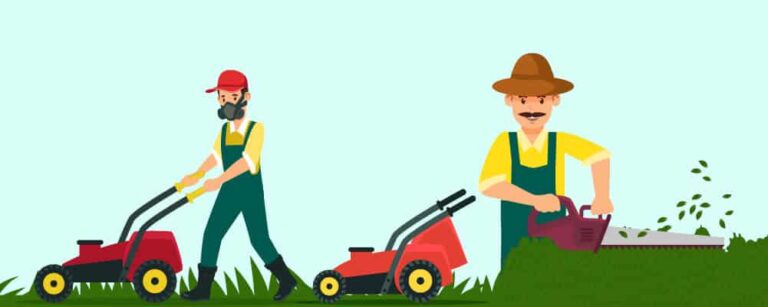 A Complete Guide To Mowing Your Lawn