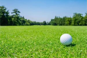 How Do I Maintain My Golf Course Grass