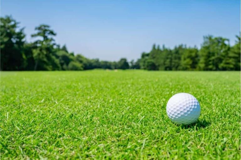 What Kind Of Grass Do Golf Courses Use?