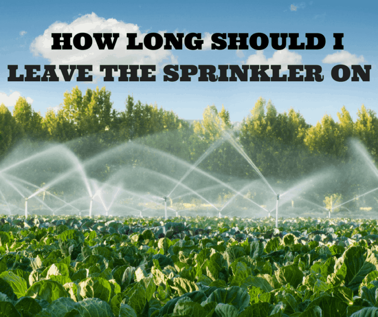 How Long Should I Leave The Sprinkler On?