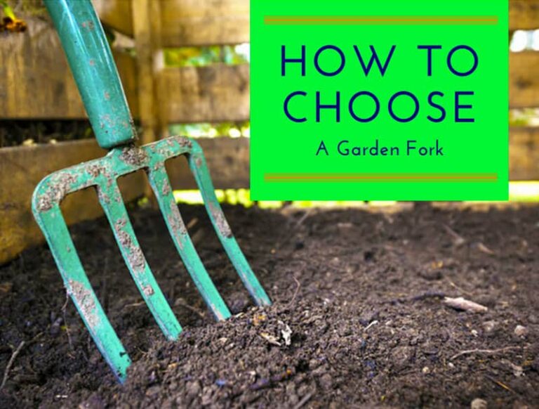How To Choose A Garden Fork For Your Gardening Needs