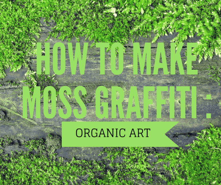 How To Make Moss Graffiti: An Organic Art Form