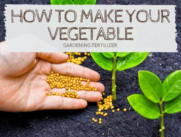 How To Make Your Vegetable Garden Fertilizer