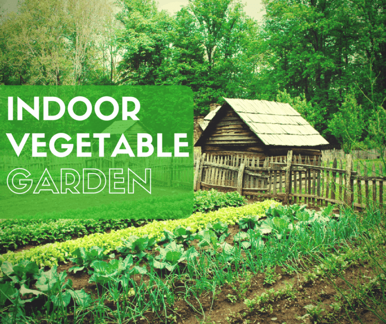 Indoor Vegetable Gardening: 37 Edibles You Can Grow Indoors In The Winter