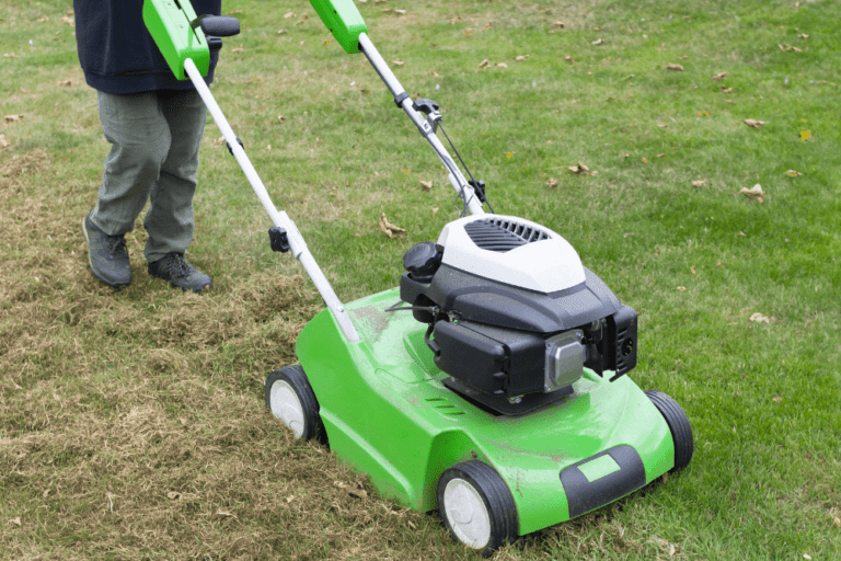 Guide to Lawn Aerator Rental
