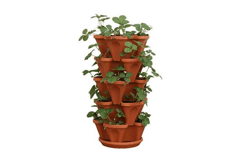 The Best Strawberry Planters, Pots, And Towers