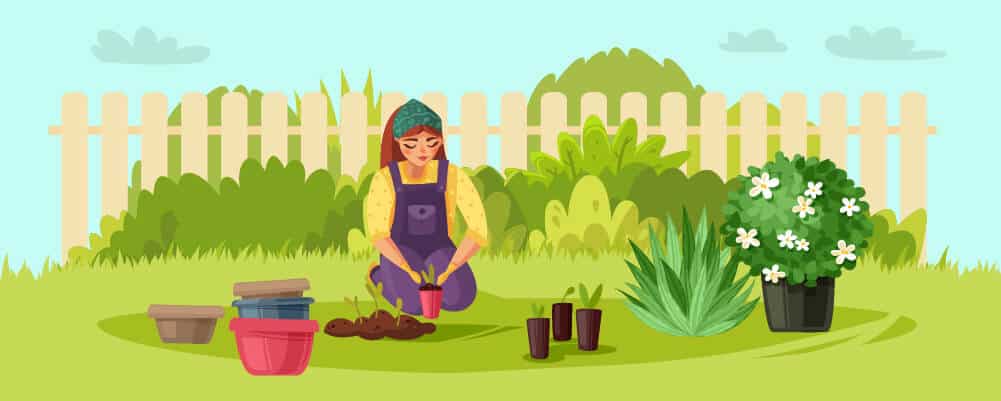 Plan Your Garden Beds