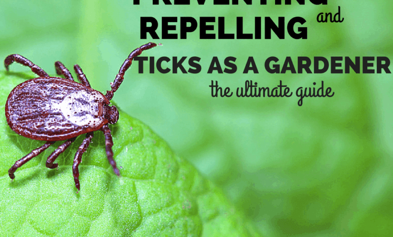 Preventing And Repelling Ticks As A Gardener The Ultimate Guide