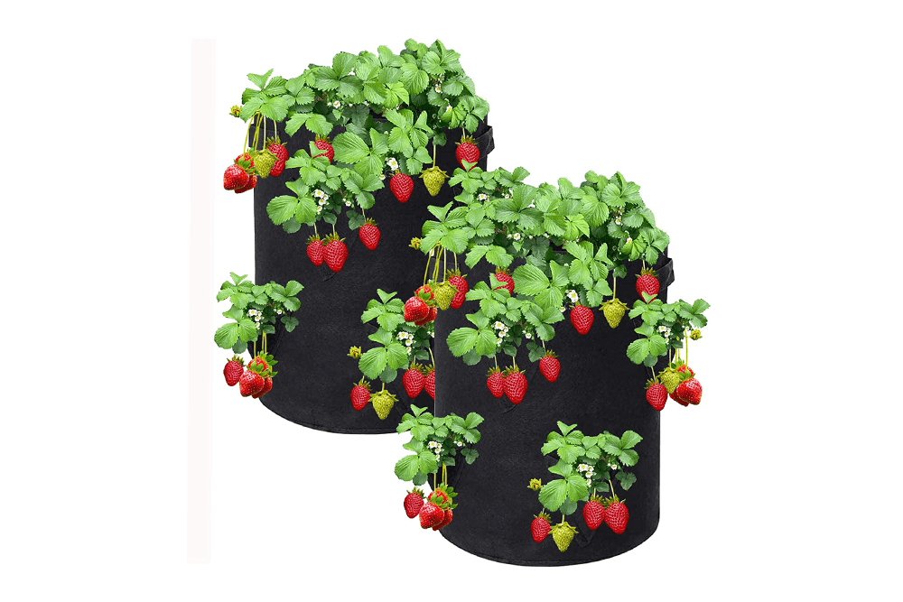 Reeyox Strawberry Grow Bag