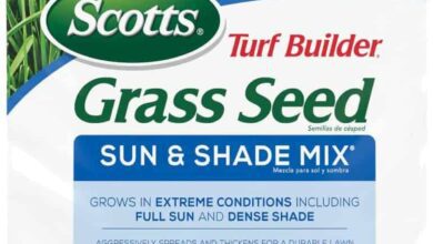 Scotts Turf Builder Grass Seed Sun Shade Mix