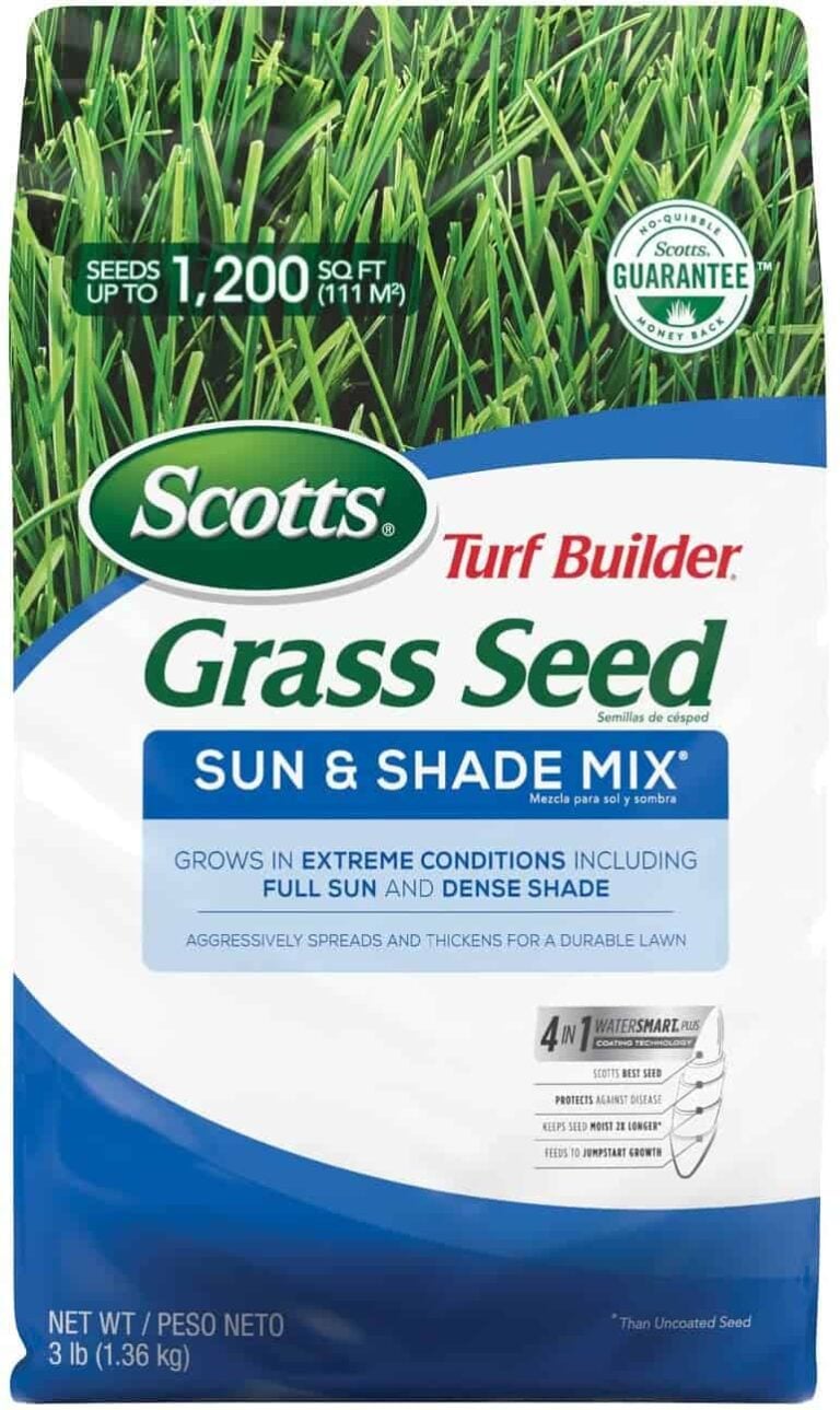 What Is The Best Grass Seed? Reviews & Buyer’s Guide