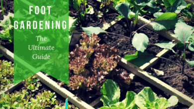 Square Foot Gardening The Ultimate Guide