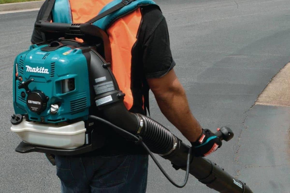 The Best Backpack Leaf Blowers in 2022. Reviews & Buyer’s Guide (2)