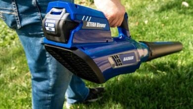 The Best Backpack Leaf Blowers in 2022. Reviews Buyers Guide 7