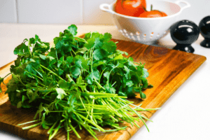 What Dishes Does Cilantro Work Best With