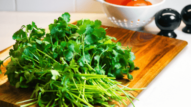 What Dishes Does Cilantro Work Best With