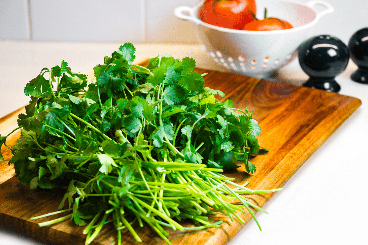 What Dishes Does Cilantro Work Best With?