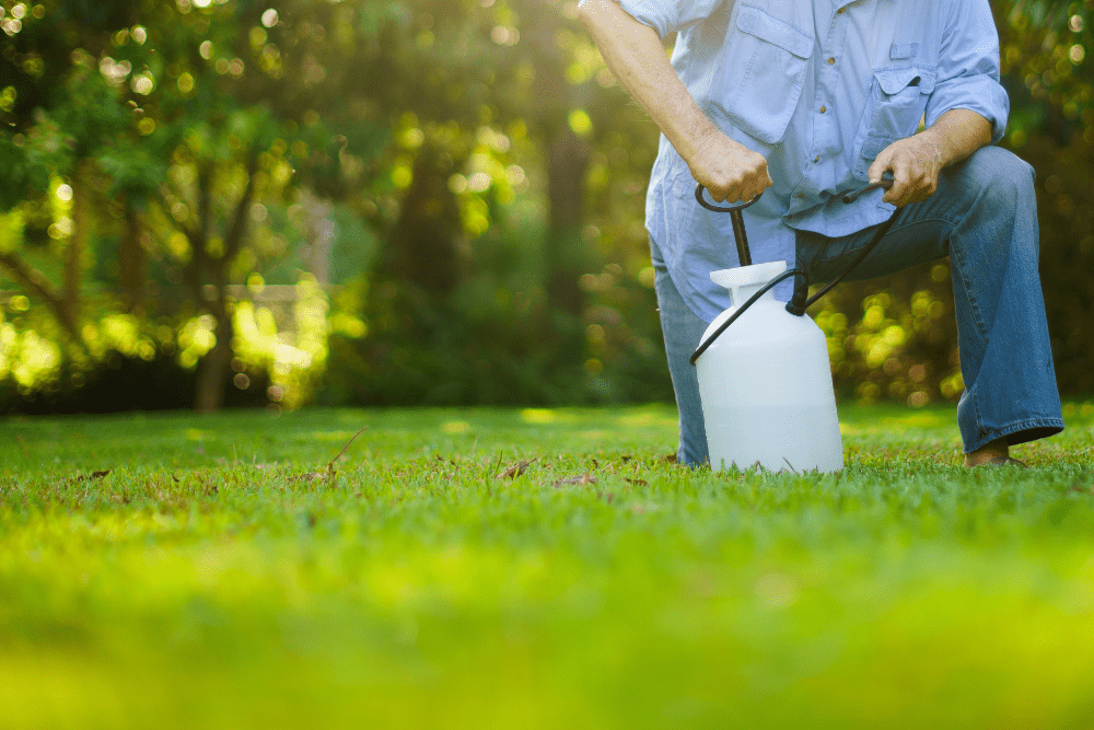 When to Fertilize New Grass for Best Results