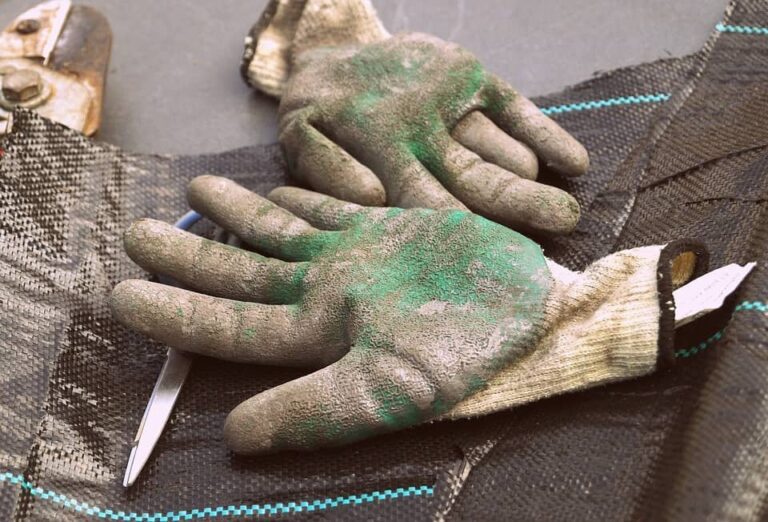 Safeguard Your Hands with the Best Gardening Gloves
