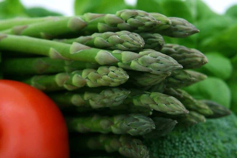 Harvesting Asparagus: Our Top Tricks