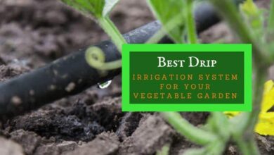 best drip irrigation system reviews