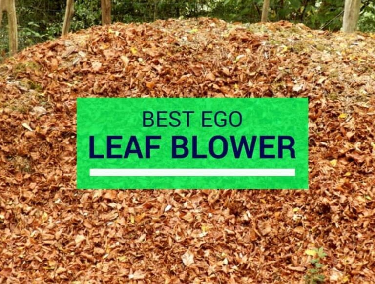 Best Ego Leaf Blower For Home Use