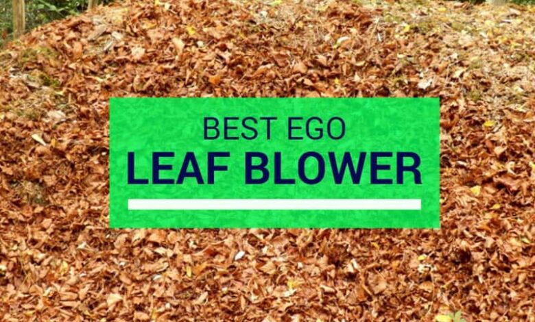 best ego leaf blower reviews