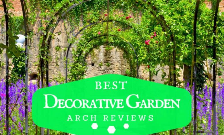 best garden arch reviews