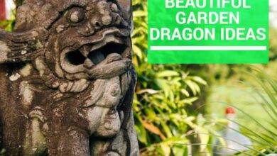 best garden dragon reviews