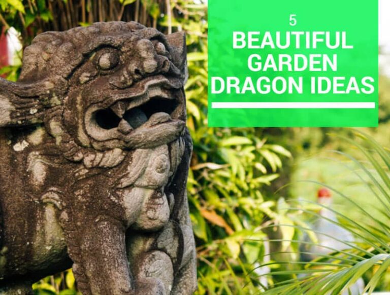 5 Beautiful Garden Dragon Ideas