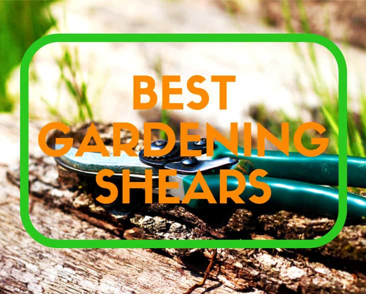 The Best Gardening Shears To Keep Your Plants Healthy