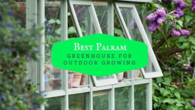 best palram greenhouse reviews