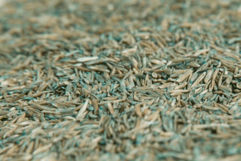 Grass Seed Amounts – How Many Pounds Do You Need Per Square Foot?